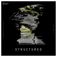 VA – Voltaire Music Pres. Structured Vol. 12 [VOLTCOMP1117]