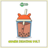 VA – AWK Selection Vol. 9 AWKS009