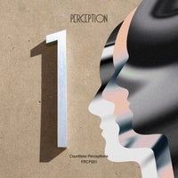 VA – Countless Perceptions [PRCP001]