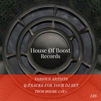 VA – Q-Tracks for your Dj Set Tech House 12 [House Of Boost Records]