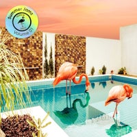 VA – Summer Jamz Volume 1 [TDRCOMP002][FLAC]