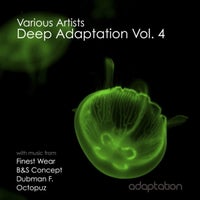 VA – Deep Adaptation Vol. 4 AMC018