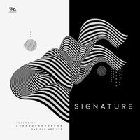 VA – Variety Music Pres. Signature, Vol. 14 VMCOMP948