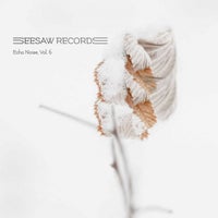 VA – Echo Noise Vol. 6 [Seesaw Records]