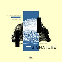 VA – Variety Music pres. Signature Vol. 15 VMCOMP969