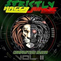 VA – Strictly Ragga Jungle Compilation Album Vol 2 [Strictly Ragga Jungle Records]
