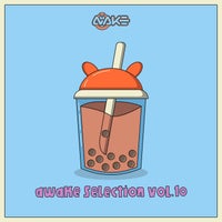 VA – AWK Selection Vol. 10 AWKS010