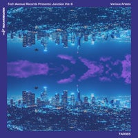 VA – Tech Avenue Presents Junction Vol. 6 [Tech Avenue Records]