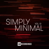 VA – Simply Minimal Vol. 13 [LW Recordings]