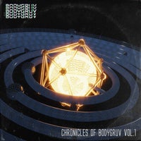 VA – Chronicles Of Bodygruv, Vol. 1 BDG001E