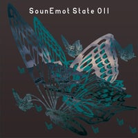 VA – Sounemot State 011 [SounEmot State]