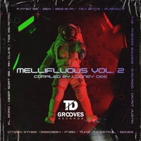 VA – Mellifluous Vol. 2 Compiled By Looney Dee [TDGrooves Records]