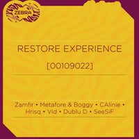 VA – Restore Experience [00109022] [Zebra Rec.]