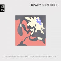 VA – White Noise [BETWIXT]