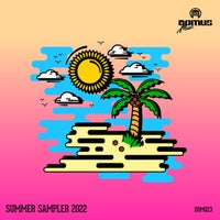 VA – Summer Sampler 2022 DOM023