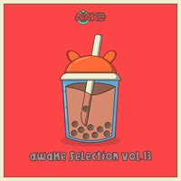 VA – AWK Selection Vol. 13 [AWK Recordings]