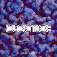 VA – Elberec Various 12 [ELBEREC]