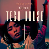 VA – Gods of Tech House Vol. 3 [Urban GorillazY]