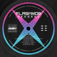 VA – In A Flash, Vol. 9 FMR212