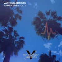 VA – Summer Vibes Vol. 2 [Do Yourself Records]