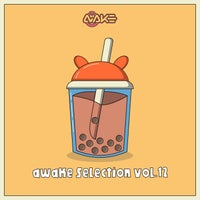 VA – AWK Selection, Vol. 12 AWKS012
