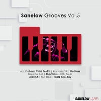 VA – Sanelow Grooves Vol. 5 (2022)