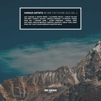 VA – We Are the Future 2022 Vol 2 (3AV064LP) (2022)