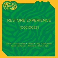 VA – Restore Experience (00210022) [Zebra Rec.]