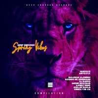 VA – Deep Error56 Spring Vibes [Deep Error56 Records]