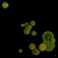 VA – Secret Beats [Obazda]