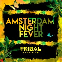 VA – Amsterdam Night Fever 4056813445411