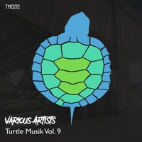 VA – Turtle Musik Vol. 9 [Turtle Musik]