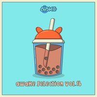 VA – AWK Selection Vol. 16 AWKS016