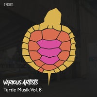 VA – Turtle Musik Vol. 8 [Turtle Musik]