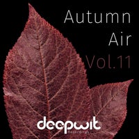 VA – Autumn Air Vol. 11 [DeepWit Recordings]