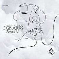 VA – Signature Series 5 [DROP050]