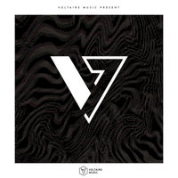 VA – Voltaire Music Pres. V – Issue 46 VOLTCOMP1126