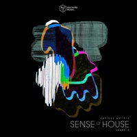 VA – Sense of House Issue 3 VOLTCOMP1131