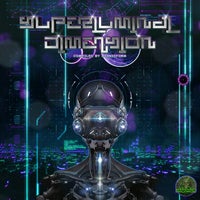 VA – Superluminal Dimension [Shamanism Records]