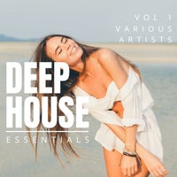 VA – Deep-House Essentials Vol. 1 [Back2Basics]