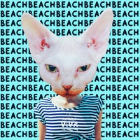 VA – Beach NATCOMPI008