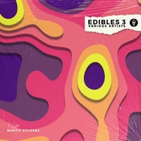 VA – MudPie Edibles Part 3 [MudPie Records]