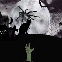 VA – Halloween 2022 AM224