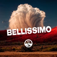 VA – Bellissimo NATCOMP056