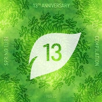 VA – Spring Tube 13th Anniversary Compilation Pt. 2 [Spring Tube]