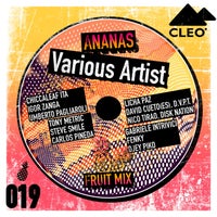 VA – Ananas Fruit Mix CLEO019
