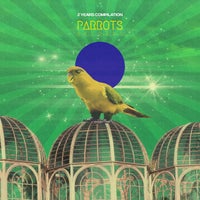 VA – 2 Years Compilation [Parrots Records]
