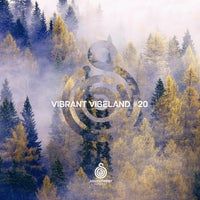 VA – Vibrant Vibeland 20 [Soundteller Records]