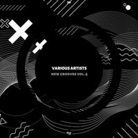 VA – New Grooves Vol. 4 BVM039