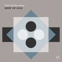 VA – Poker Flat Recordings Best of 2022 PFRDD50DS